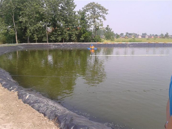 何谓鱼池防渗膜